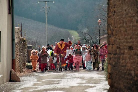 Spectacle pour votre carnaval.