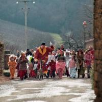 Spectacle pour votre carnaval.
