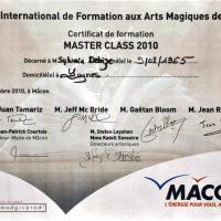 Festival de la magie à Mâcon.